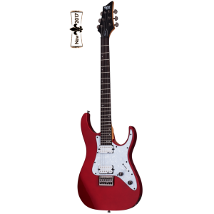 Schecter BANSHEE-6 SGR Гитара электрическая Schecter BANSHEE-6 SGR Гитара электрическая
