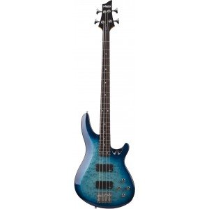 Schecter C-4 Plus Бас гитара электрическая Schecter C-4 Plus Бас гитара электрическая