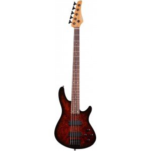 Schecter C-5 Standard Бас гитара электрическая Schecter C-5 Standard Бас гитара электрическая