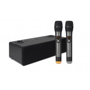 TV32-BK Акустическая система, активная, 2 беспроводных микрофона, Foix