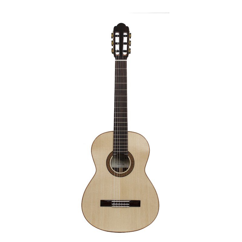 Torres-650-RS Классическая гитара, Martinez