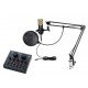 V8+BM800 Набор для стрима, конференций, игровой, студийный (микрофон, звуковая карта), Foix V8+BM800 Набор для стрима, конференций, игровой, студийный (микрофон, звуковая карта), Foix
