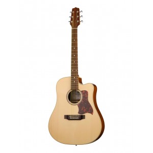 W11304ctw SM55 Акустическая гитара Hora