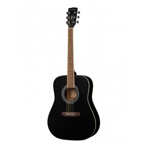 W81-WBAG-BKS Акустическая гитара, черная, с чехлом Parkwood