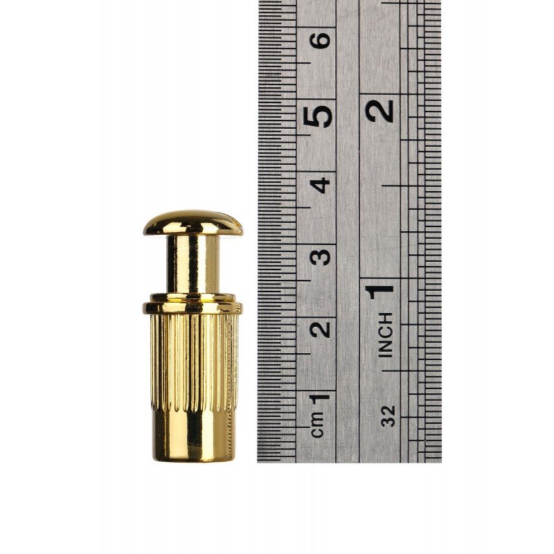 WOGT2-GD M Series Бридж Wraparound, золото, Wilkinson