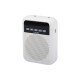 WS-VA030 Переносной громкоговоритель для гида, 5Вт, LAudio WS-VA030 Переносной громкоговоритель для гида, 5Вт, LAudio