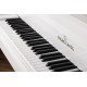 Young Chang YC186E WHP Акустический рояль
